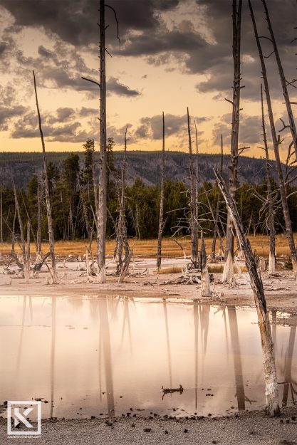 Kaden-Stephens-yellowstone-photography-water-reflection-trees-sunset-hot-pool
